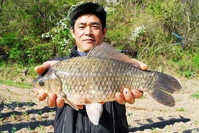 의성사짜와 대물들....