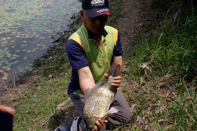 5짜,4짜 붕어와 첫 장마소식.