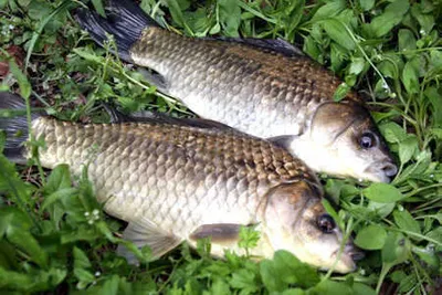 역시!! 계절의 여왕 입니다.^o^