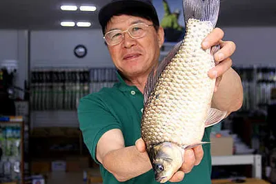 7월에 전하는 대구동부권 조황소식 입니다.