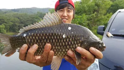 여름의 시작&갈수기 [남산편]