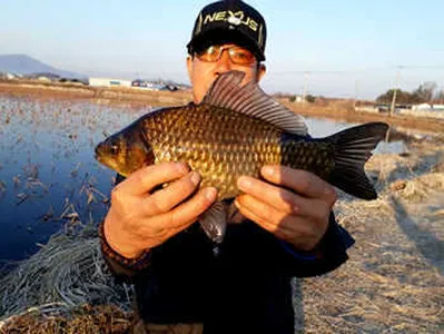 바람이 전해준 봄!!