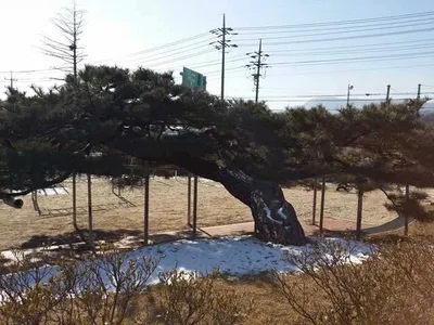 얼음낚시가 가능한 소류지들