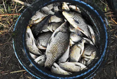 대물 구경했습니다.