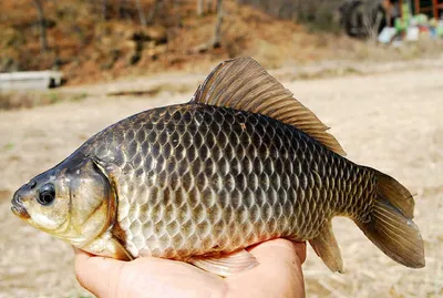 끝장납니다.......