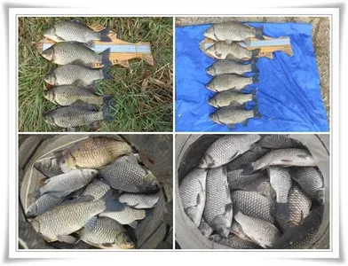 꾸준한 대박조황들 ~~