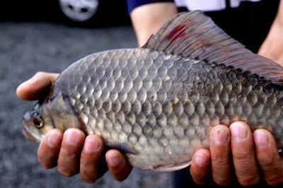 여름의 시작,유월의 조황안내 입니다.
