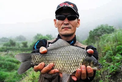 대물 손맛 보셨습니다.