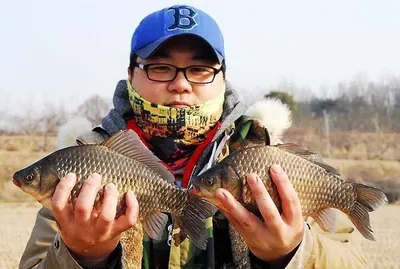 월척 소식이.....