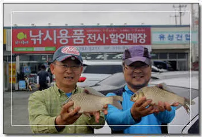 9월을 기다리며-경산권 조황안내