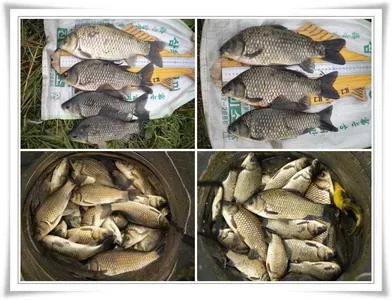 꾸준한 호조황이 ~~