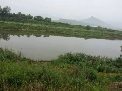 [청미천] 낚시 절대 가능합니다