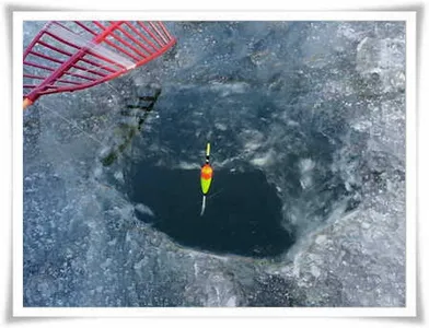 경산권 빙어및 붕어 얼음낚시 현황