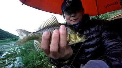 가을을 맞는 경산권 저수지들.