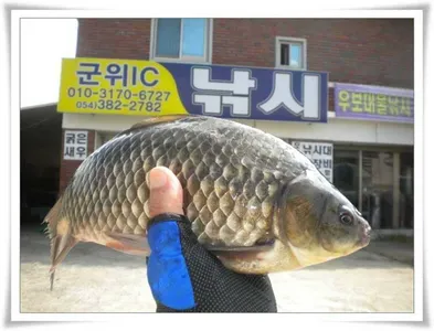 엄청나게 터집니다 ~~