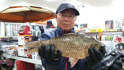 산란철.대구 경산권 소식 입니다.