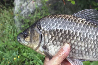 밤낚시의 계절이 돌아 ~ 왔습니다.!!