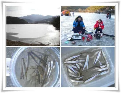 빙어,붕어얼음낚시 시작 ~~