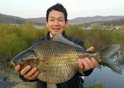 [고삼지] 괴물들이 쓱