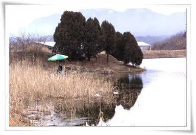 봄기운 가득한 저수지 풍경
