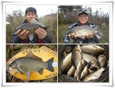 군위소류지와 위천강 조황 ~~