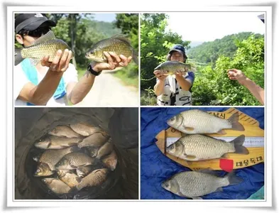 더위를 이기는 낚시 ~~