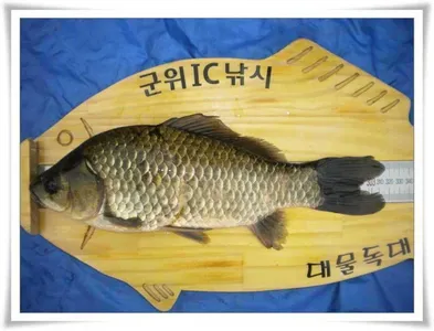 갈수기 월척과 대물터들 ~~