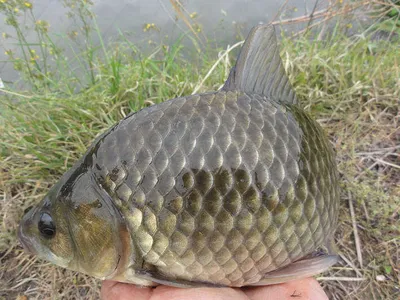 끝내주네요......