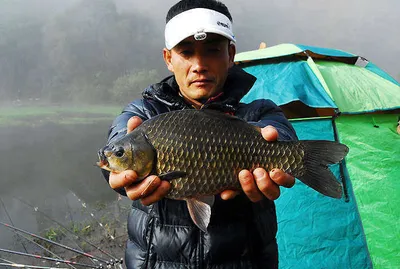 대빵 대물들.......