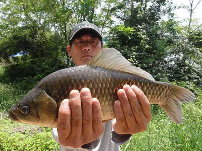 4짜 그리고 줄줄이 월척이......