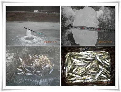 빙질좋은 내의지와 군위빙어낚시 조황 ~~