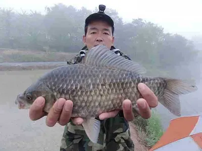 배수 걱정없이 대물 마릿수 조황.....