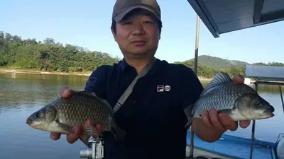 [고삼지] 가을 붕어들이 기다립니다