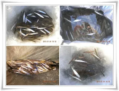 군위,빙어대박터들~~