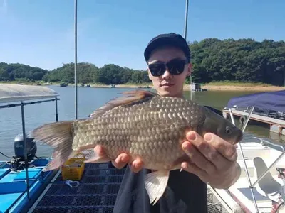 [고삼지] 입질 받으면 대물입니다