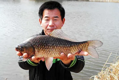 시즌시작 37cm대물을.......