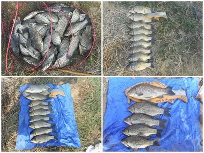 초절정!!! 초대박조황 ~~