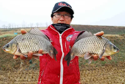 터지고 또 터졌습니다......