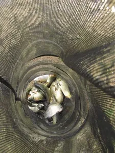 [두창지] 초보님들께 강추합니다