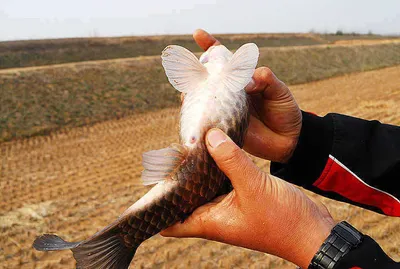 대물들이 이러네요 .........