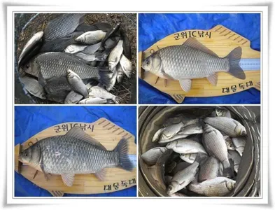 마릿수에 대물까지 ~~