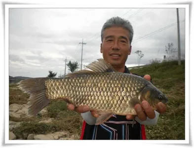 4짜와 마릿수대박 ~~