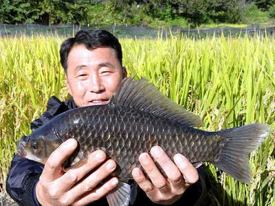 대물을 낚은 김사장님 .......
