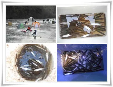 빙어얼음낚시 시작 ~~