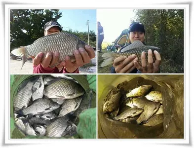 추워지면 대물들이...