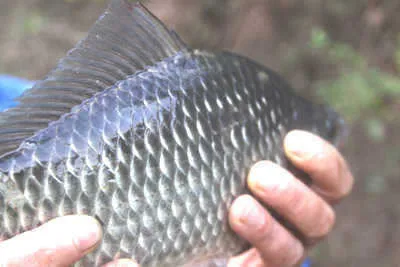 시월 마지막주 조황 안내