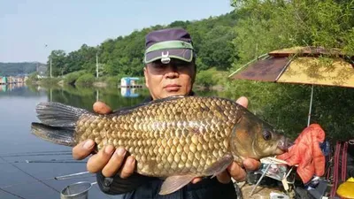 [고삼지] 노지에서 4짜들이