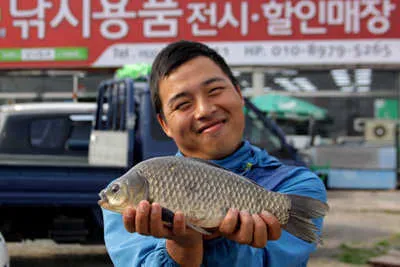 비는 없고 붕어는 있고.