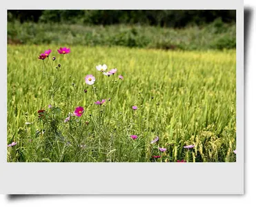 시즌초입 9월의 출조지 안내