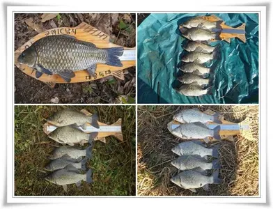 멋진 가을월척 마릿수가 ~~